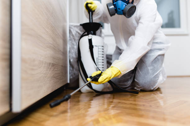 Best Affordable Pest Control Services  in Morrisonville, NY