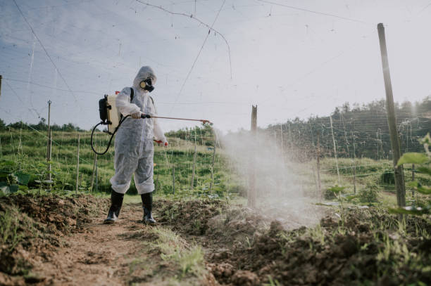 Best Mosquito Control Services  in Morrisonville, NY