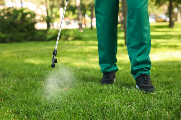Best Pest Control Near Me in Morrisonville, NY