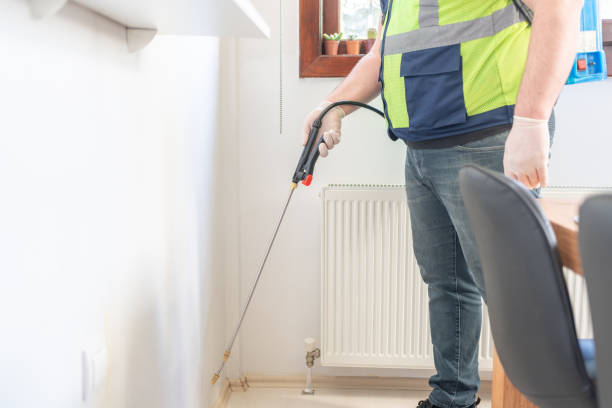Best Emergency Pest Control  in Morrisonville, NY