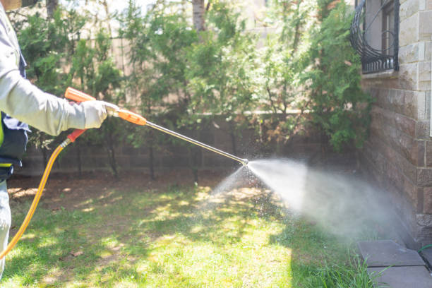Best Best Pest Control Companies  in Morrisonville, NY