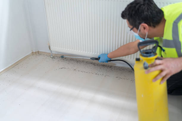 Best Pest Removal Services  in Morrisonville, NY